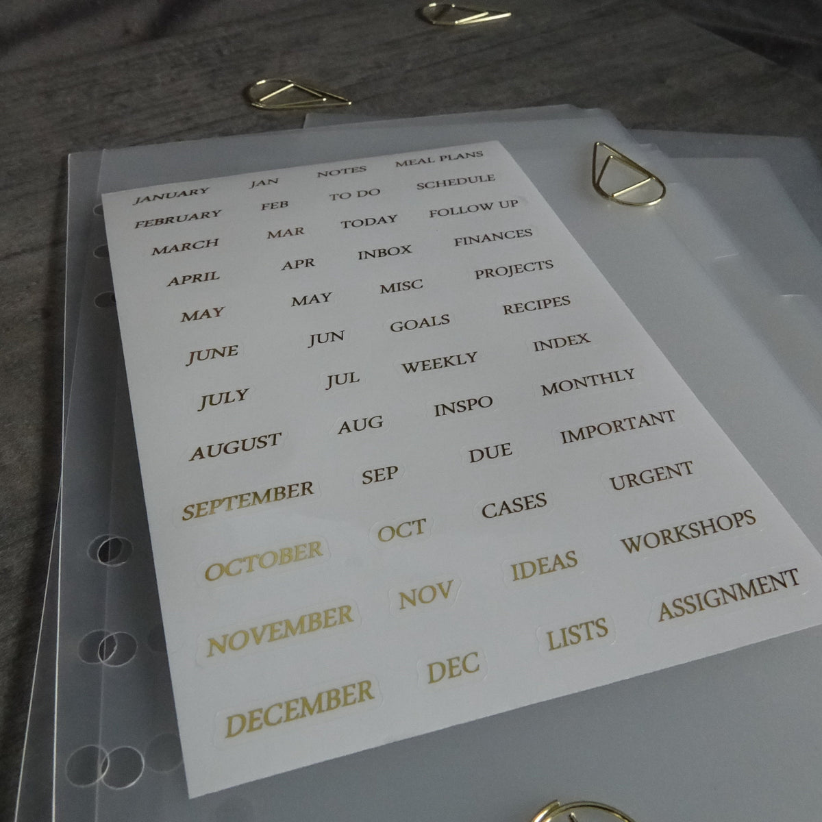 CLEAR DIVIDERS | 6 TABS