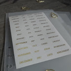 CLEAR DIVIDERS | 6 TABS