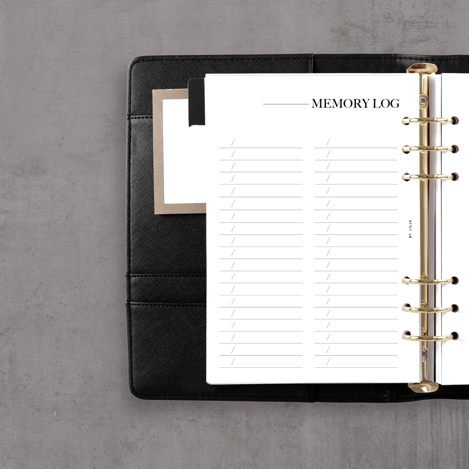 MEMORY LOG
